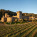 Private Customized Wine Tour of Napa Valley or Sonoma Valley from San Francisco Bay Area