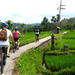 Half-Day Electric Bike Tour of Ubud