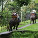 Bali Elephant Safari Tour with Lunch