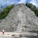 Mayan Inland Expedition from Tulum: Punta Laguna and Coba Ruins