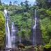 Private Sekumpul Waterfall Trekking Tour