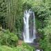 Private Tour: Munduk Waterfalls Trekking Tour