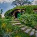 Hobbiton, Ruakuri Cave and Kiwi House Deluxe Tour from Auckland