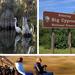 5 hour Everglades Tour with Miccosukee Airboat and Big Cypress National Preserve