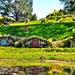 4-Day Hobbiton, Waitomo and Bay of Islands Tour from Auckland