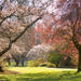 Christchurch Half-Day Gardens Tour