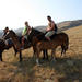 Christchurch Horse Trekking