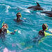 Kaikoura Swim with Dolphins Tour from Christchurch