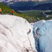 Exit Glacier Ice Climbing Trip