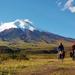 Cotopaxi Hiking and Biking Day Tour from Quito