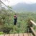 Mindo Zip Lining, Butterfly Farm and The Hummingbirds Shared Tour from Quito