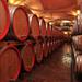 Private Wine Tour of Stobi Winery from Skopje