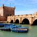 Essaouira Day Tour from Marrakech