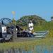 One Hour Airboat Tour