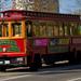 Vancouver Trolley Hop-on Hop-Off Tour Capilano Suspension Bridge and Grouse Mountain