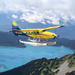 Whistler Flightseeing Tour with Alpine Lake Landing and Optional Lunch