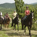 Horse Riding in Tuscany for Experienced Riders: Full-day Trail Ride