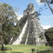 Tikal Maya Ruins Full Day Tour from Guatemala City