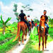 Horse Riding in Ubud