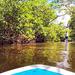 Blackwater River One Way Paddle Board Tour