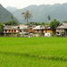 Full-Day Mai Chau Tour from Hanoi