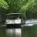 Black River Safari And Pelican Bar Tour from Montego Bay