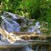 Day Trip to Dunn's River Falls from Montego Bay