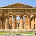 Guided Visit to the Greek Temples in Paestum and Bufala Mozzarella's Bio Farm in Paestum
