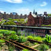 Meatpacking District, Chelsea Market and The Highline Walking Tour