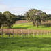 2-Day Margaret River Wine Experience Tour from Perth
