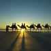 Afternoon Broome Town Tour Including Cable Beach with Optional Sunset Camel Ride