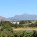 Constantia Beer and Wine Tour from Cape Town