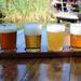 Full-Day Out Back Craft Beer Tour from Cape Town