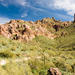 Self-Drive Twilight Tour through the Sonoran Desert