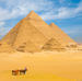 Private Tour: Cairo Day Trip from Hurghada