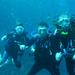 2-Dive Tour in Catalina Islands 