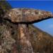 One-Day Tour: Helan Mountain Rock Paintings and Zhenbeipu Western Studio