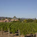 4-Day Tour of Wine, History, and Culture from South Bay