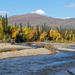 Chena River Guided Fishing Tour