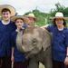 Half-Day Lanna Kingdom Elephant Sanctuary Tour in Chiang Mai