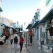 Carthage and Sidi Bou Said Half-Day Guided Tour from Tunis
