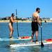 Dolphin Stand Up Paddleboard Down-Wind Eco-Tour