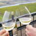 Hood River Wineries Half Day Tour