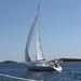 Murter Island: 5-Day Basics of Sailing Course