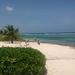 Cayman Islands Eastern District Highlights Tour