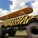 Monster Truck through the Orange Groves from Orlando