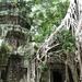 Private Angkor Temples Walking Tour from Siem Reap