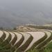 One Day Bus Tour of Rice Terrace and Ethnic Minority Village