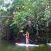 Cairns River and Rainforest Stand Up Paddleboard Tour