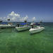 Snorkeling Adventure with Lunch